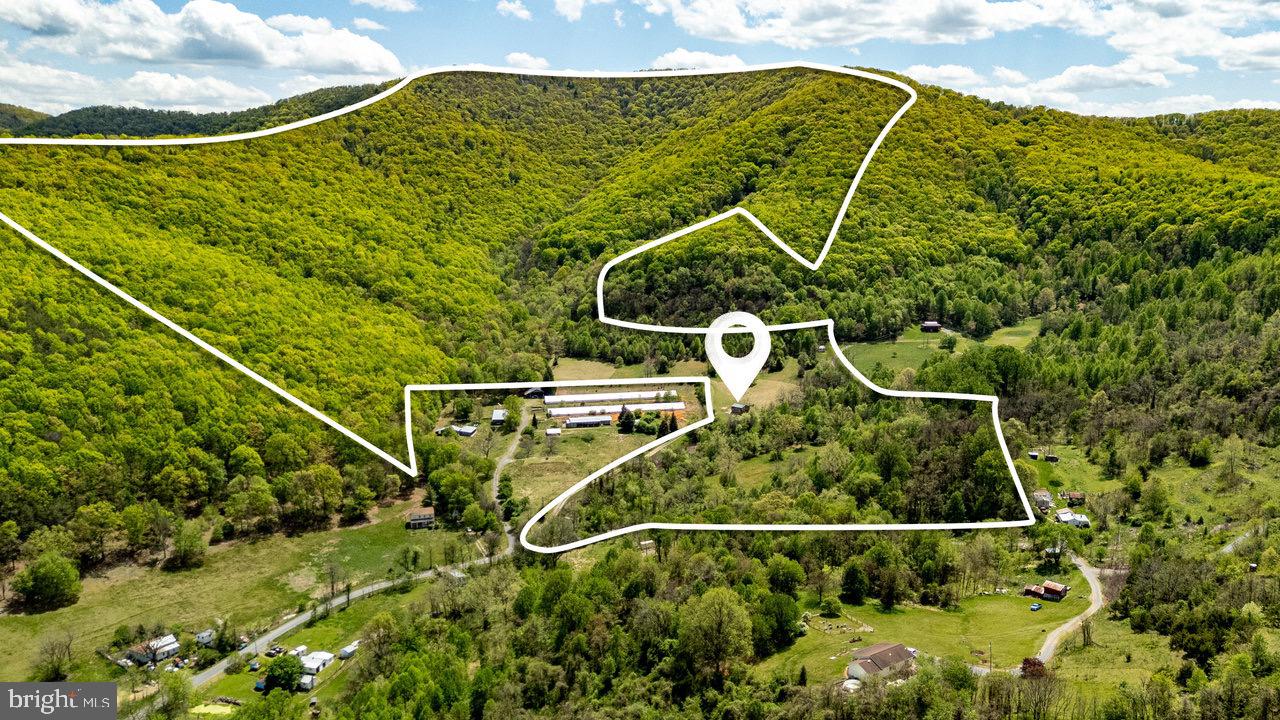 1797 CUBBAGE HOLLOW ROAD, STANLEY, Virginia 22851, ,Farm,For sale,1797 CUBBAGE HOLLOW ROAD,VAPA2004864 MLS # VAPA2004864