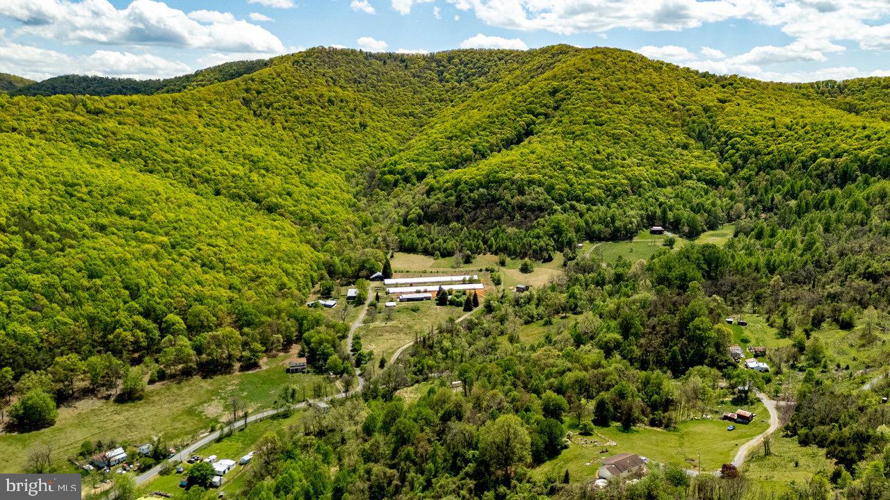 1797 CUBBAGE HOLLOW ROAD, STANLEY, Virginia 22851, ,Farm,For sale,1797 CUBBAGE HOLLOW ROAD,VAPA2004864 MLS # VAPA2004864