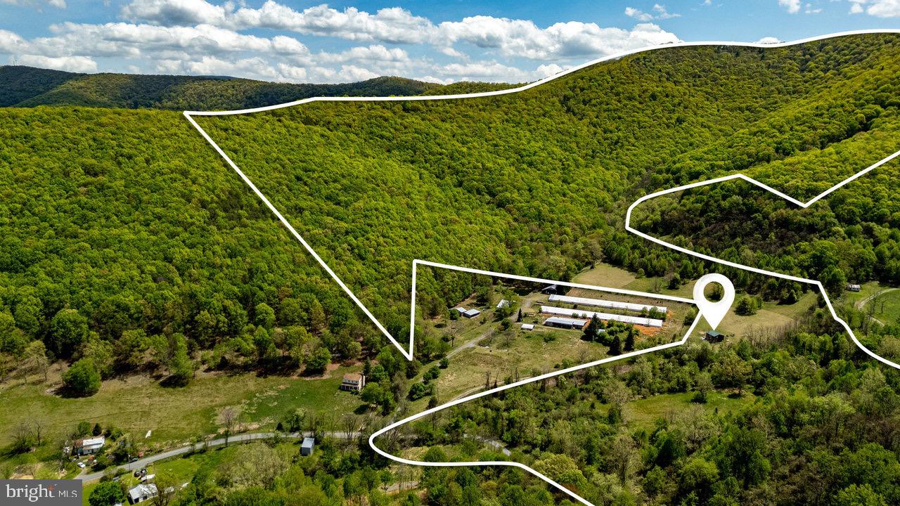 1797 CUBBAGE HOLLOW ROAD, STANLEY, Virginia 22851, ,Farm,For sale,1797 CUBBAGE HOLLOW ROAD,VAPA2004864 MLS # VAPA2004864