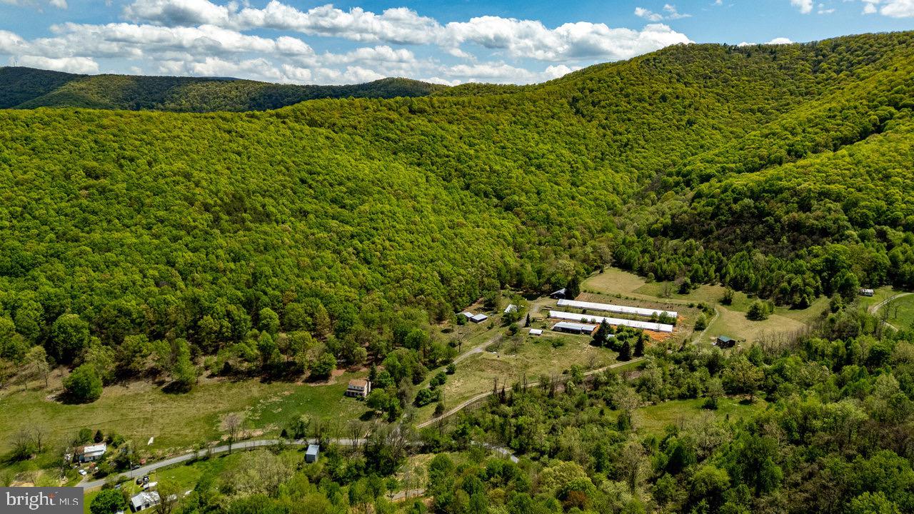 1797 CUBBAGE HOLLOW ROAD, STANLEY, Virginia 22851, ,Farm,For sale,1797 CUBBAGE HOLLOW ROAD,VAPA2004864 MLS # VAPA2004864