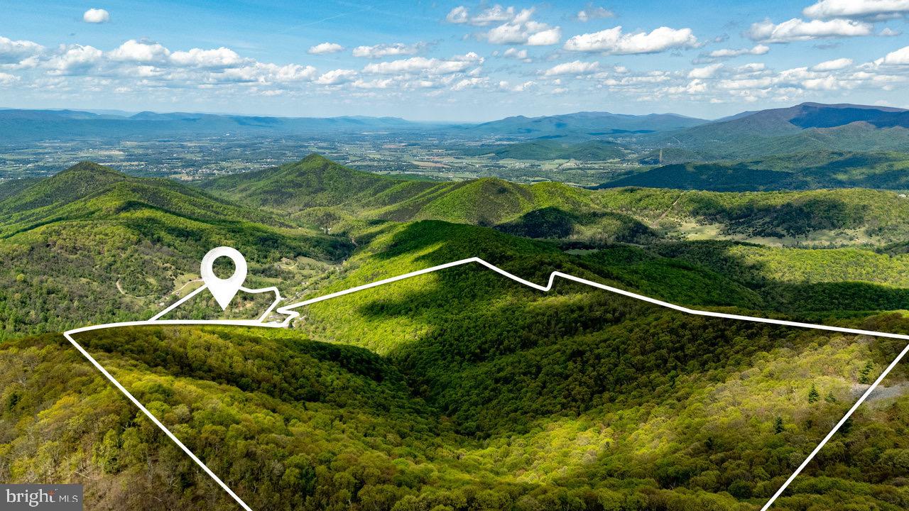 1797 CUBBAGE HOLLOW ROAD, STANLEY, Virginia 22851, ,Farm,For sale,1797 CUBBAGE HOLLOW ROAD,VAPA2004864 MLS # VAPA2004864
