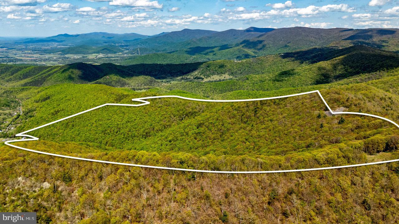 1797 CUBBAGE HOLLOW ROAD, STANLEY, Virginia 22851, ,Farm,For sale,1797 CUBBAGE HOLLOW ROAD,VAPA2004864 MLS # VAPA2004864