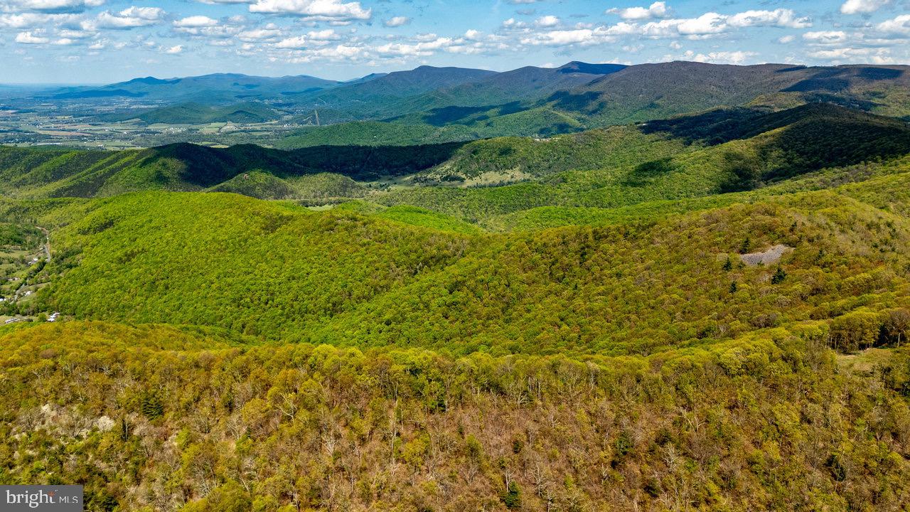 1797 CUBBAGE HOLLOW ROAD, STANLEY, Virginia 22851, ,Farm,For sale,1797 CUBBAGE HOLLOW ROAD,VAPA2004864 MLS # VAPA2004864