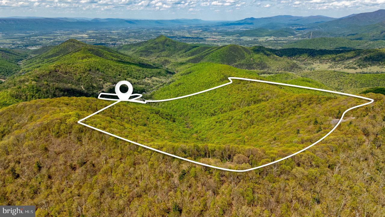 1797 CUBBAGE HOLLOW ROAD, STANLEY, Virginia 22851, ,Farm,For sale,1797 CUBBAGE HOLLOW ROAD,VAPA2004864 MLS # VAPA2004864