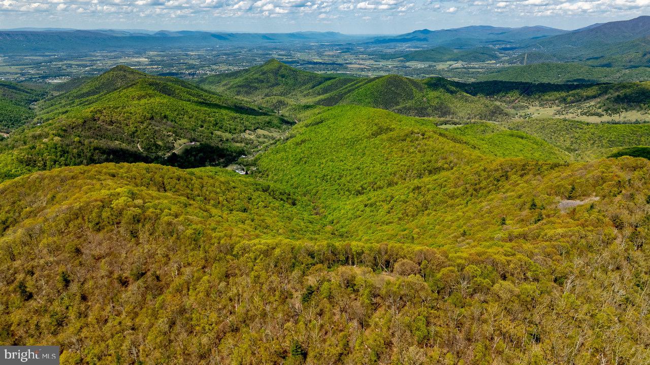 1797 CUBBAGE HOLLOW ROAD, STANLEY, Virginia 22851, ,Farm,For sale,1797 CUBBAGE HOLLOW ROAD,VAPA2004864 MLS # VAPA2004864