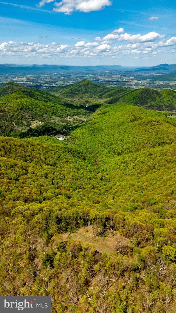 1797 CUBBAGE HOLLOW ROAD, STANLEY, Virginia 22851, ,Farm,For sale,1797 CUBBAGE HOLLOW ROAD,VAPA2004864 MLS # VAPA2004864