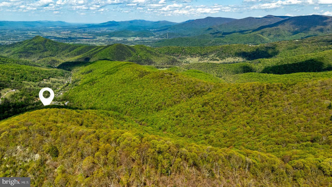 1797 CUBBAGE HOLLOW ROAD, STANLEY, Virginia 22851, ,Farm,For sale,1797 CUBBAGE HOLLOW ROAD,VAPA2004864 MLS # VAPA2004864