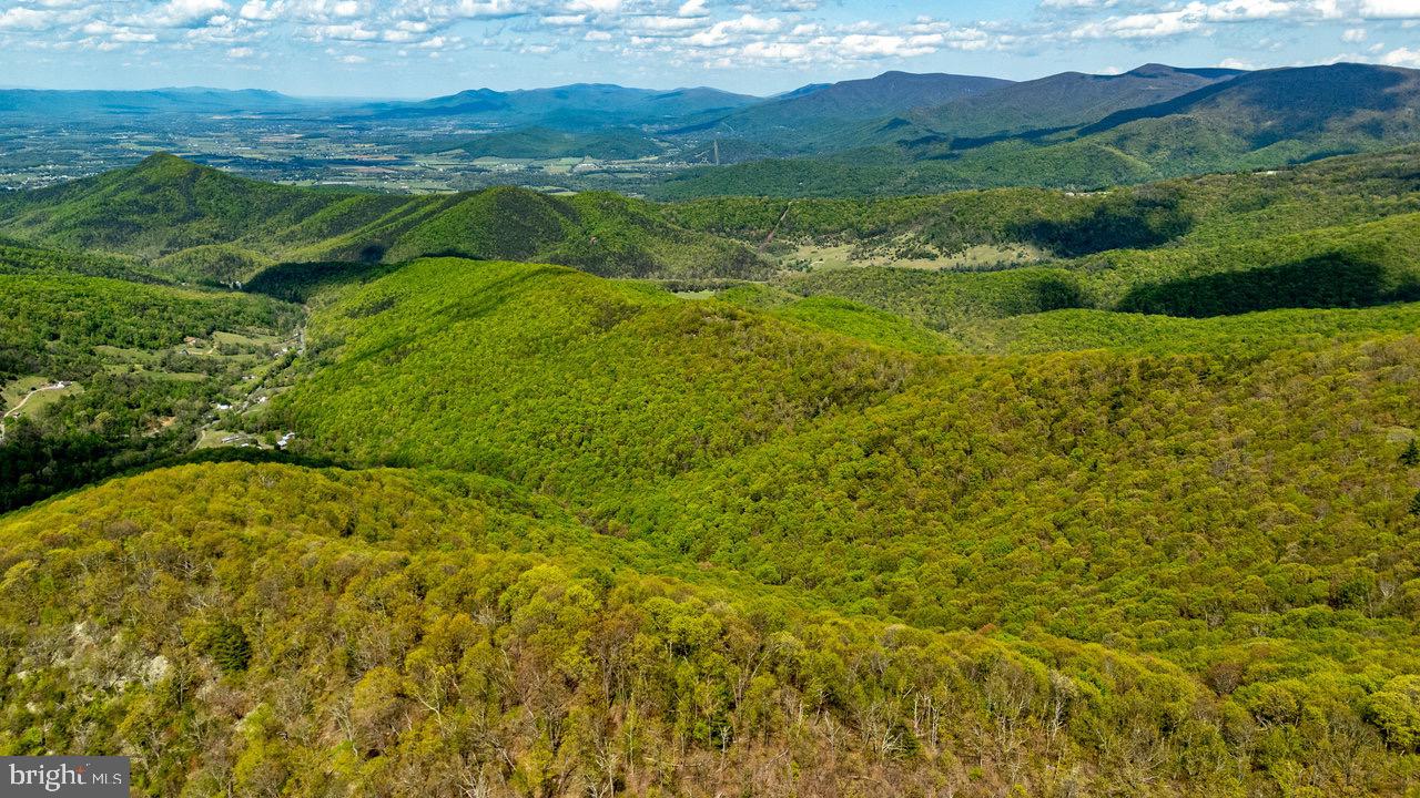 1797 CUBBAGE HOLLOW ROAD, STANLEY, Virginia 22851, ,Farm,For sale,1797 CUBBAGE HOLLOW ROAD,VAPA2004864 MLS # VAPA2004864