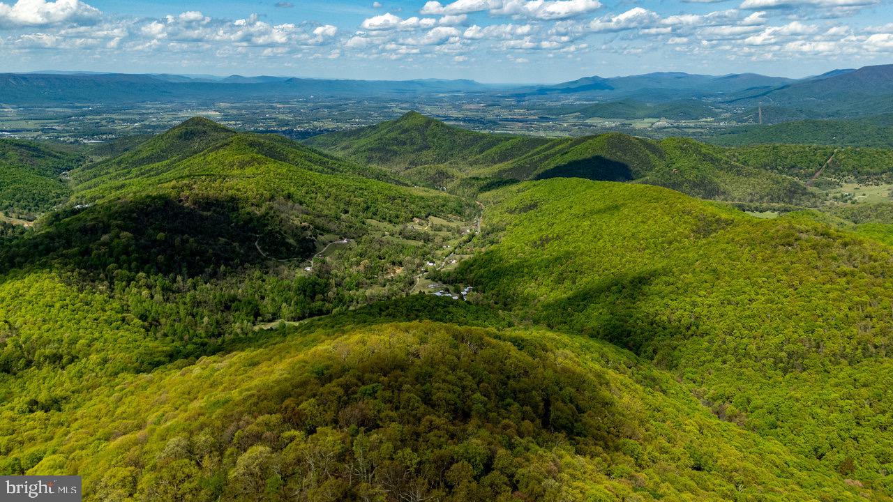 1797 CUBBAGE HOLLOW ROAD, STANLEY, Virginia 22851, ,Farm,For sale,1797 CUBBAGE HOLLOW ROAD,VAPA2004864 MLS # VAPA2004864