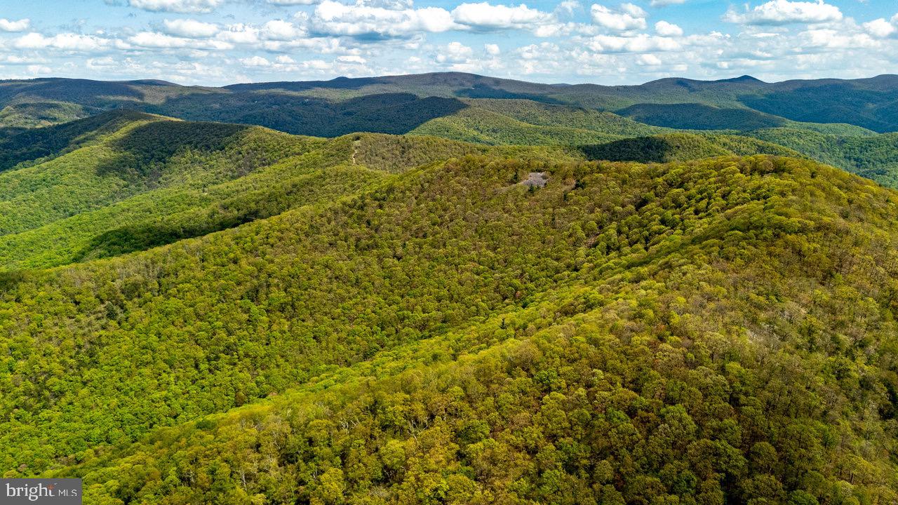 1797 CUBBAGE HOLLOW ROAD, STANLEY, Virginia 22851, ,Farm,For sale,1797 CUBBAGE HOLLOW ROAD,VAPA2004864 MLS # VAPA2004864