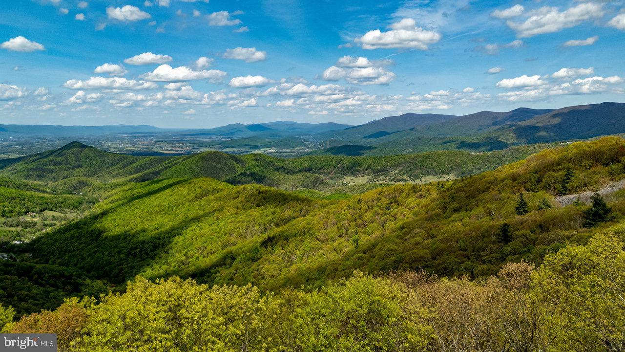 1797 CUBBAGE HOLLOW ROAD, STANLEY, Virginia 22851, ,Farm,For sale,1797 CUBBAGE HOLLOW ROAD,VAPA2004864 MLS # VAPA2004864