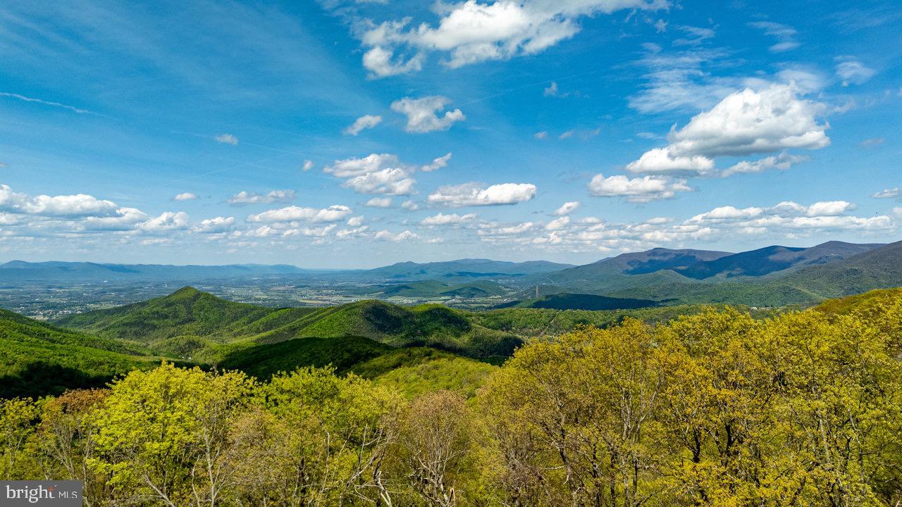 1797 CUBBAGE HOLLOW ROAD, STANLEY, Virginia 22851, ,Farm,For sale,1797 CUBBAGE HOLLOW ROAD,VAPA2004864 MLS # VAPA2004864