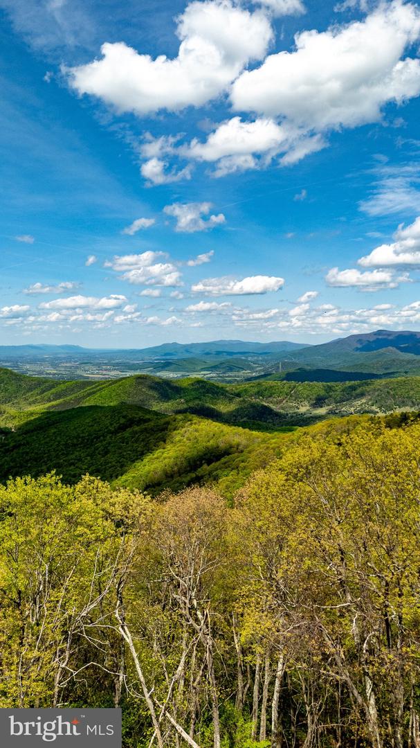 1797 CUBBAGE HOLLOW ROAD, STANLEY, Virginia 22851, ,Farm,For sale,1797 CUBBAGE HOLLOW ROAD,VAPA2004864 MLS # VAPA2004864