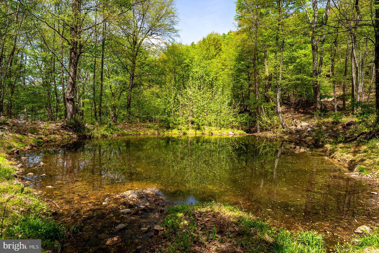 1797 CUBBAGE HOLLOW ROAD, STANLEY, Virginia 22851, ,Farm,For sale,1797 CUBBAGE HOLLOW ROAD,VAPA2004864 MLS # VAPA2004864