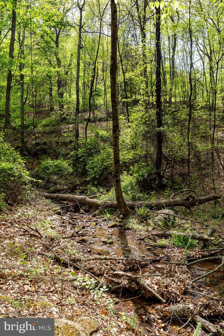 1797 CUBBAGE HOLLOW ROAD, STANLEY, Virginia 22851, ,Farm,For sale,1797 CUBBAGE HOLLOW ROAD,VAPA2004864 MLS # VAPA2004864