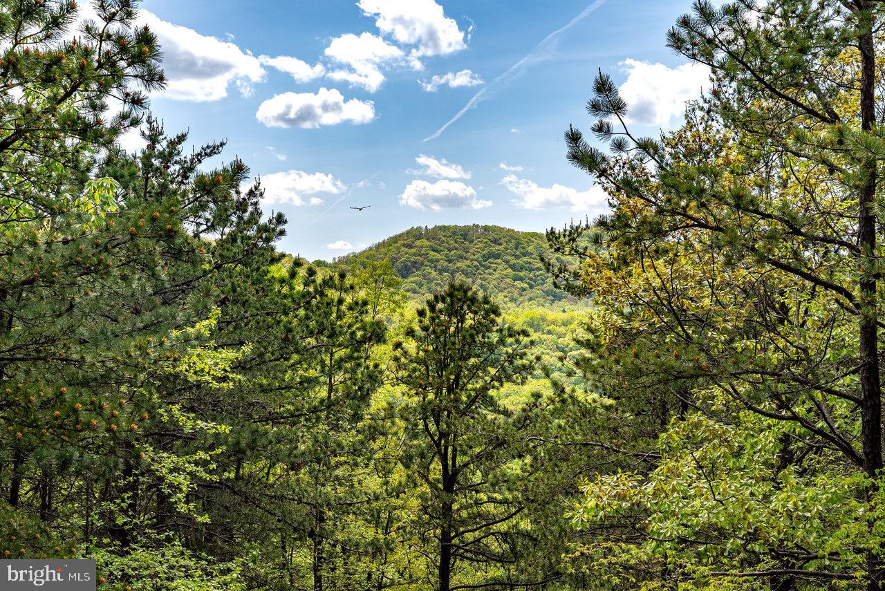 1797 CUBBAGE HOLLOW ROAD, STANLEY, Virginia 22851, ,Farm,For sale,1797 CUBBAGE HOLLOW ROAD,VAPA2004864 MLS # VAPA2004864