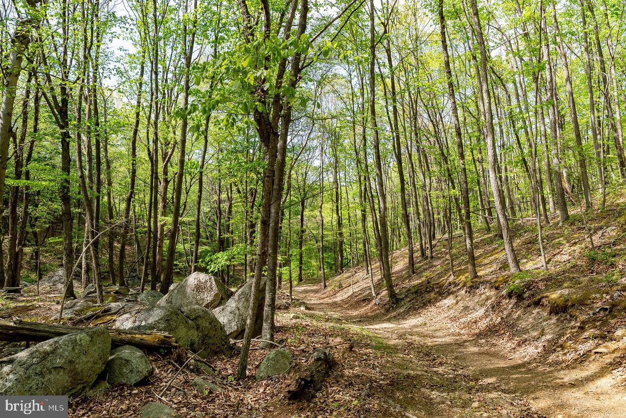 1797 CUBBAGE HOLLOW ROAD, STANLEY, Virginia 22851, ,Farm,For sale,1797 CUBBAGE HOLLOW ROAD,VAPA2004864 MLS # VAPA2004864