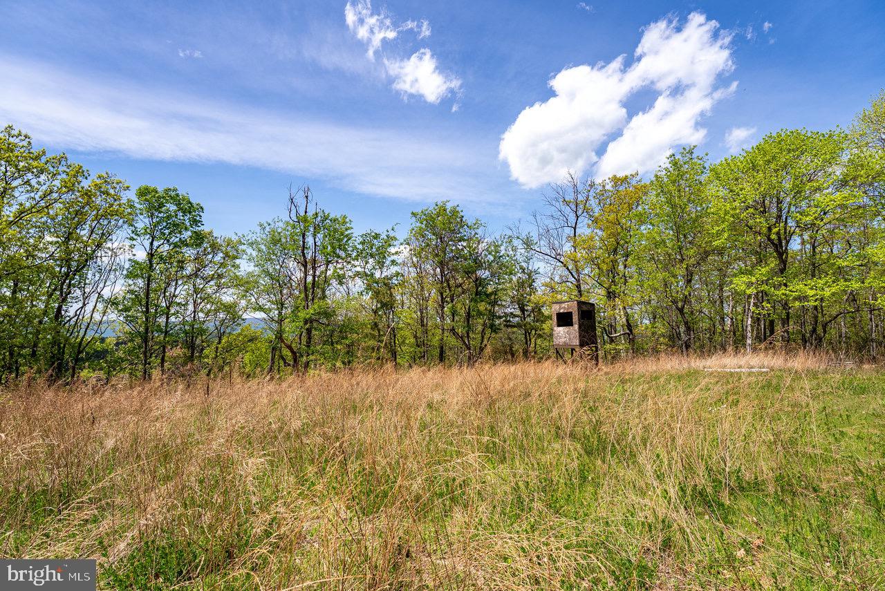 1797 CUBBAGE HOLLOW ROAD, STANLEY, Virginia 22851, ,Farm,For sale,1797 CUBBAGE HOLLOW ROAD,VAPA2004864 MLS # VAPA2004864