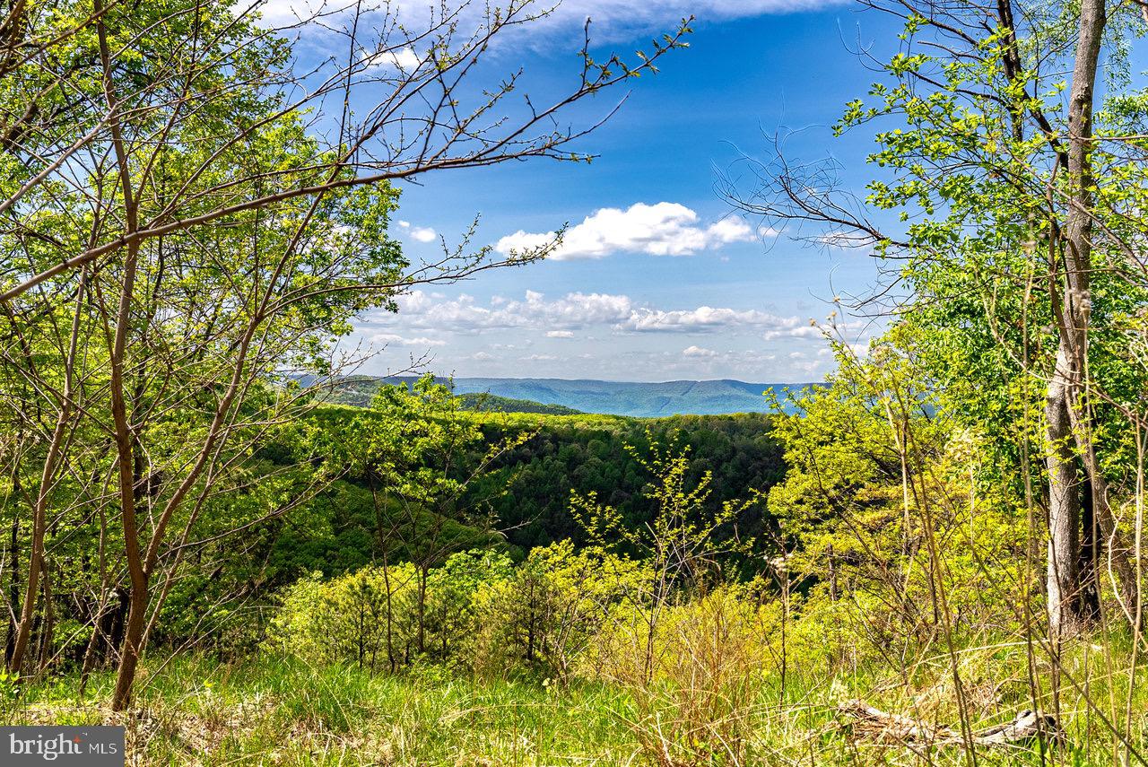 1797 CUBBAGE HOLLOW ROAD, STANLEY, Virginia 22851, ,Farm,For sale,1797 CUBBAGE HOLLOW ROAD,VAPA2004864 MLS # VAPA2004864