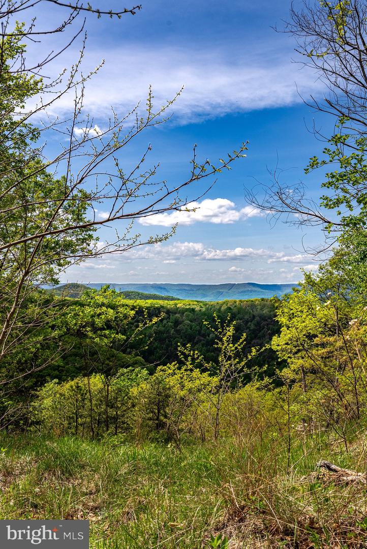 1797 CUBBAGE HOLLOW ROAD, STANLEY, Virginia 22851, ,Farm,For sale,1797 CUBBAGE HOLLOW ROAD,VAPA2004864 MLS # VAPA2004864