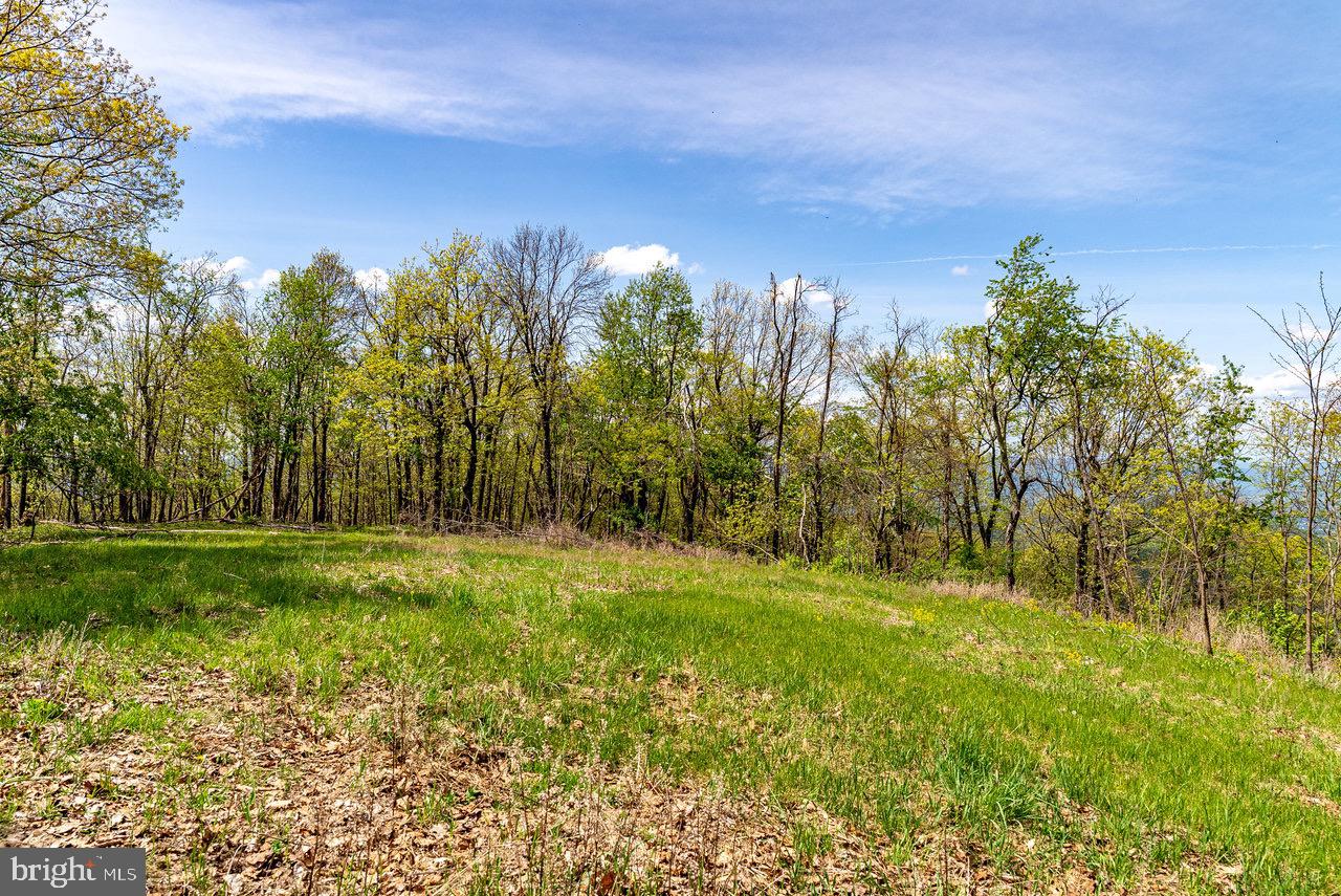1797 CUBBAGE HOLLOW ROAD, STANLEY, Virginia 22851, ,Farm,For sale,1797 CUBBAGE HOLLOW ROAD,VAPA2004864 MLS # VAPA2004864