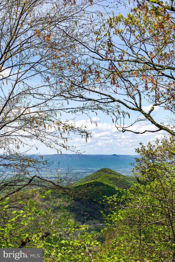 1797 CUBBAGE HOLLOW ROAD, STANLEY, Virginia 22851, ,Farm,For sale,1797 CUBBAGE HOLLOW ROAD,VAPA2004864 MLS # VAPA2004864