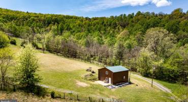 1797 CUBBAGE HOLLOW ROAD, STANLEY, Virginia 22851, ,Farm,For sale,1797 CUBBAGE HOLLOW ROAD,VAPA2004864 MLS # VAPA2004864