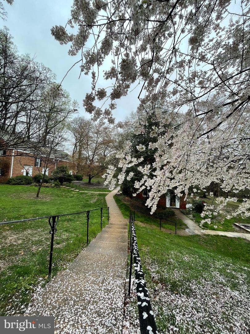 3542 MARTHA CUSTIS DR, ALEXANDRIA, Virginia 22302, 1 Bedroom Bedrooms, ,1 BathroomBathrooms,Residential,For sale,3542 MARTHA CUSTIS DR,VAAX2042772 MLS # VAAX2042772