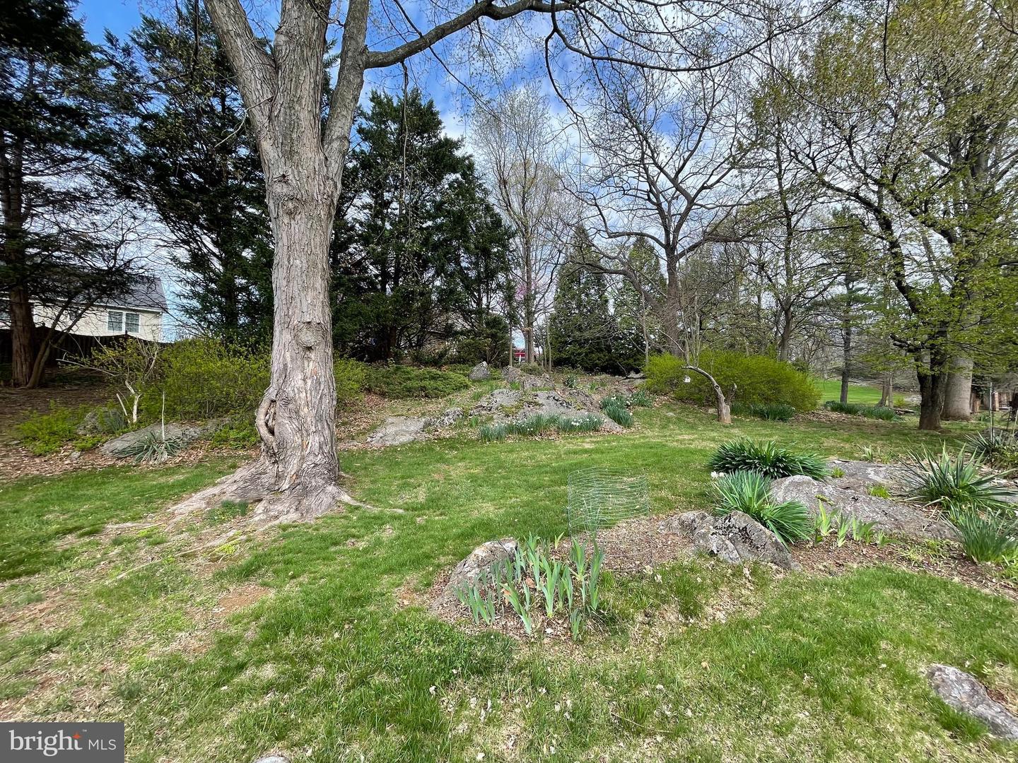 319 WALKER ST, WINCHESTER, Virginia 22601, 4 Bedrooms Bedrooms, ,2 BathroomsBathrooms,Residential,For sale,319 WALKER ST,VAWI2007456 MLS # VAWI2007456