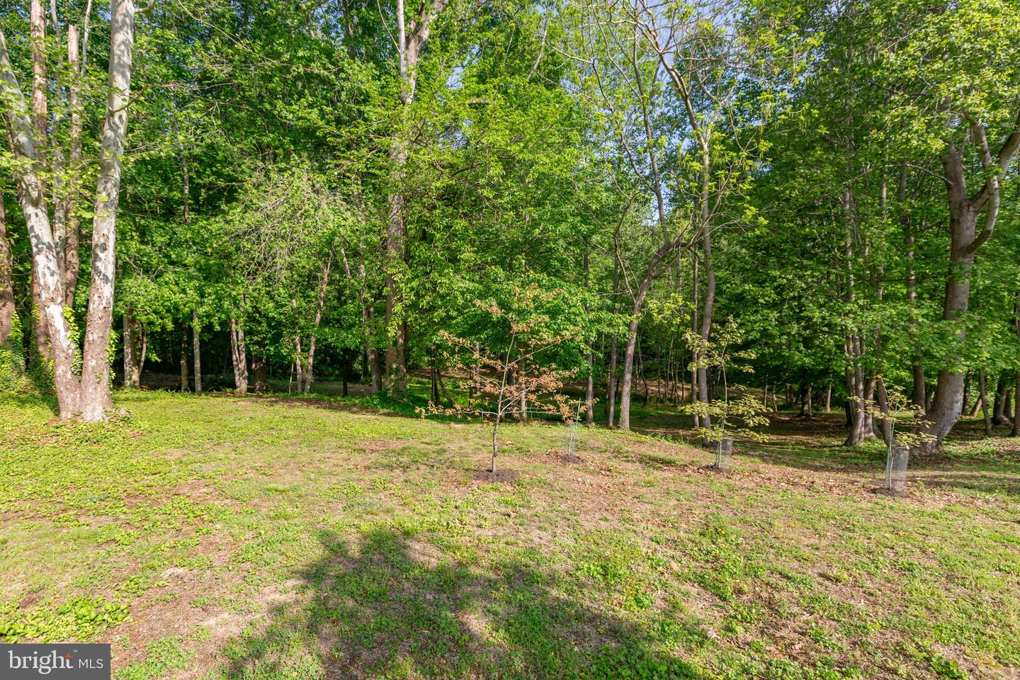 149 COURTHOUSE LN, BOWLING GREEN, Virginia 22427, 3 Bedrooms Bedrooms, ,1 BathroomBathrooms,Residential,For sale,149 COURTHOUSE LN,VACV2007934 MLS # VACV2007934