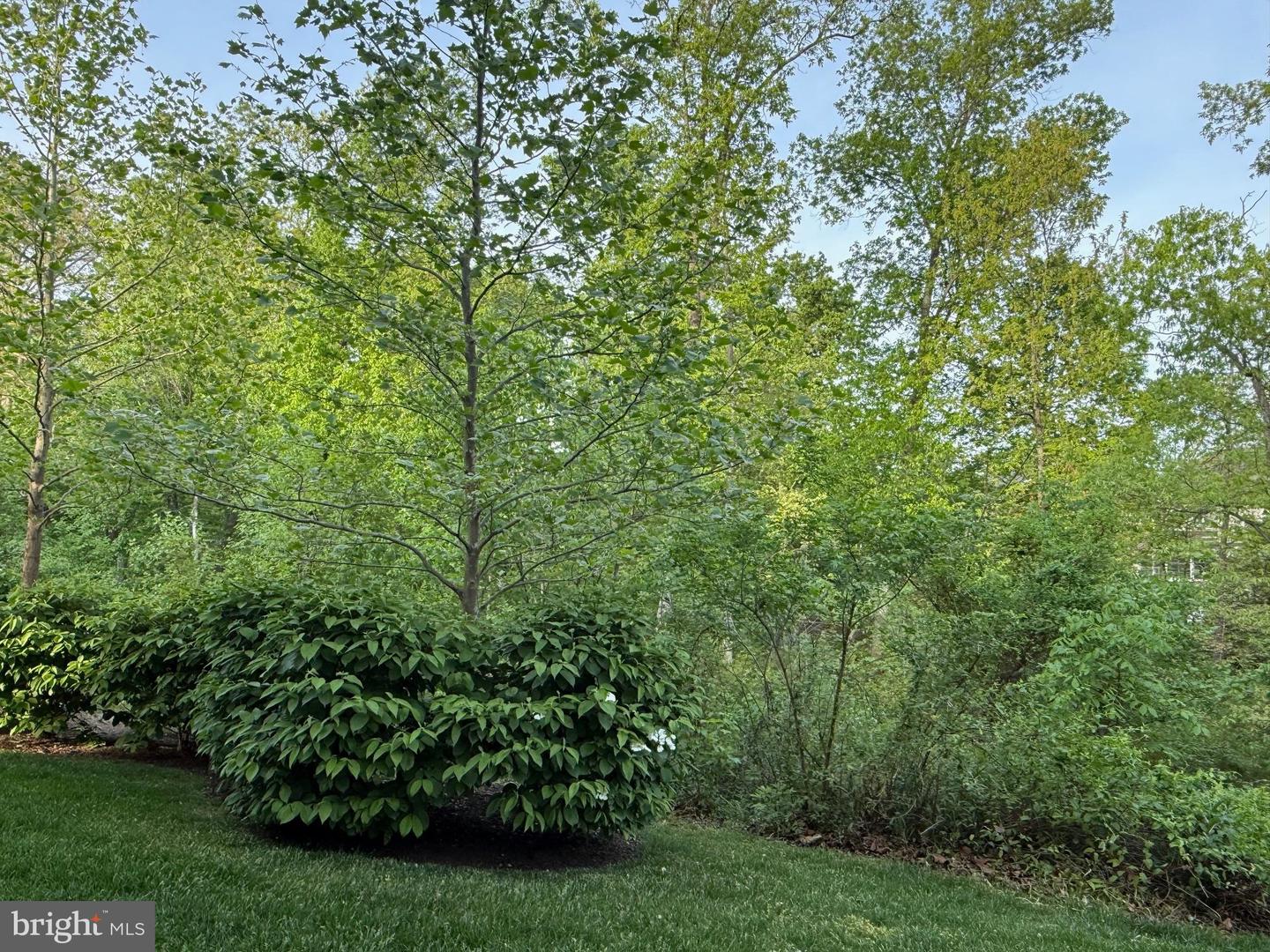 23266 SOUTHDOWN MANOR TER #102, ASHBURN, Virginia 20148, 2 Bedrooms Bedrooms, ,2 BathroomsBathrooms,Residential,For sale,23266 SOUTHDOWN MANOR TER #102,VALO2093562 MLS # VALO2093562
