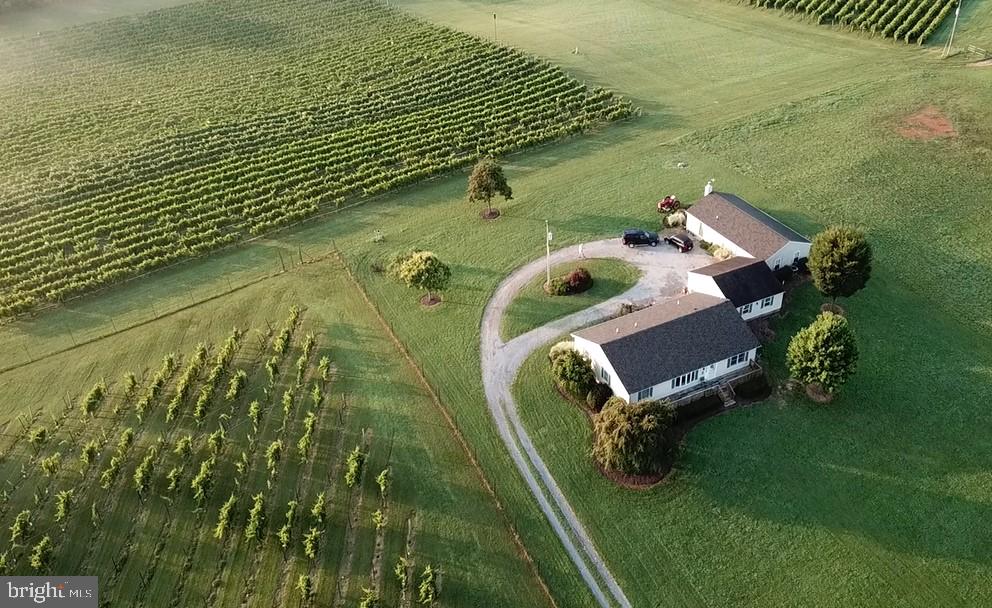 739 QUARRY RD, BERRYVILLE, Virginia 22611, 4 Bedrooms Bedrooms, ,3 BathroomsBathrooms,Residential,For sale,739 QUARRY RD,VACL2003606 MLS # VACL2003606