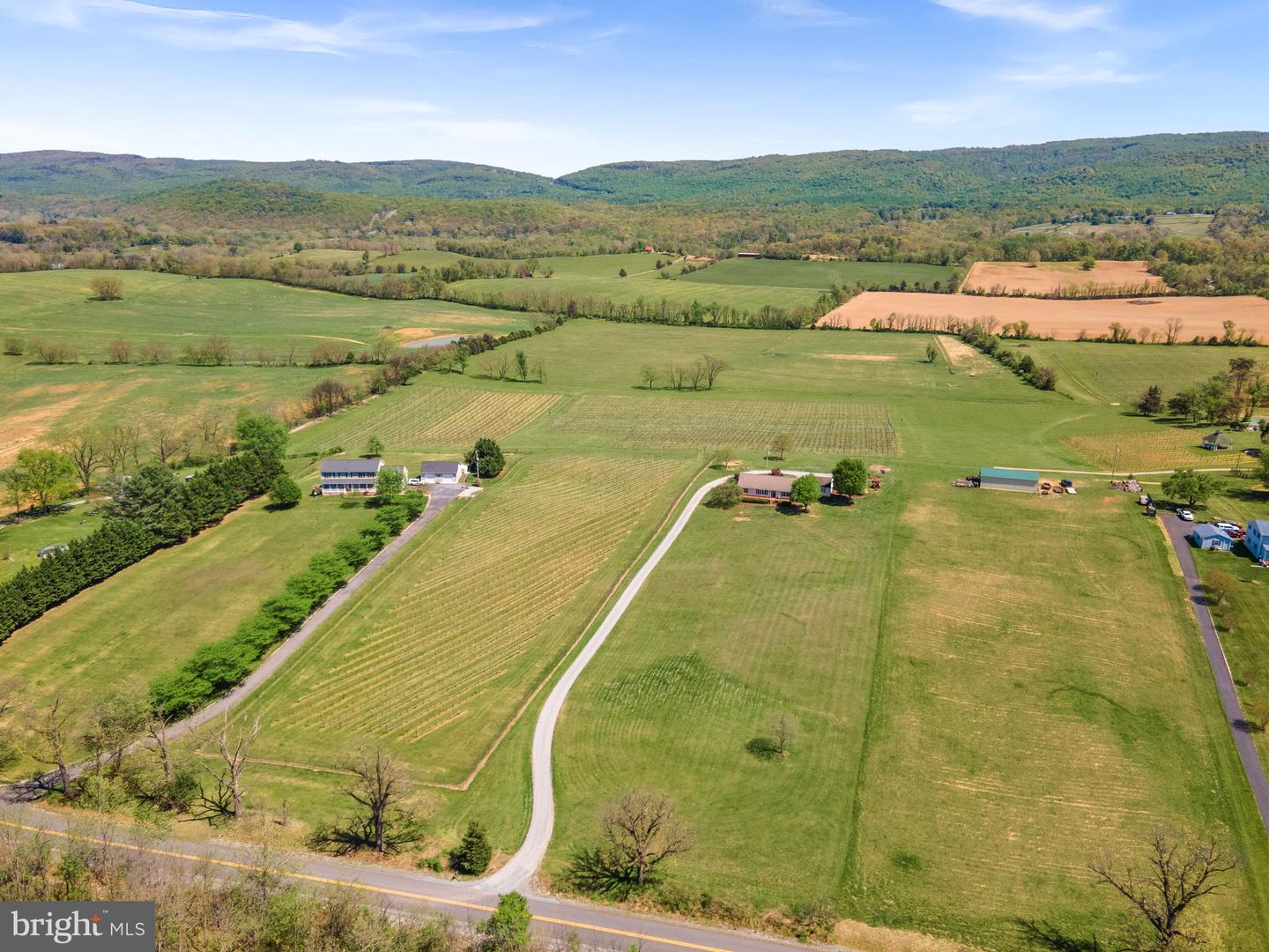 739 QUARRY RD, BERRYVILLE, Virginia 22611, 4 Bedrooms Bedrooms, ,3 BathroomsBathrooms,Residential,For sale,739 QUARRY RD,VACL2003606 MLS # VACL2003606
