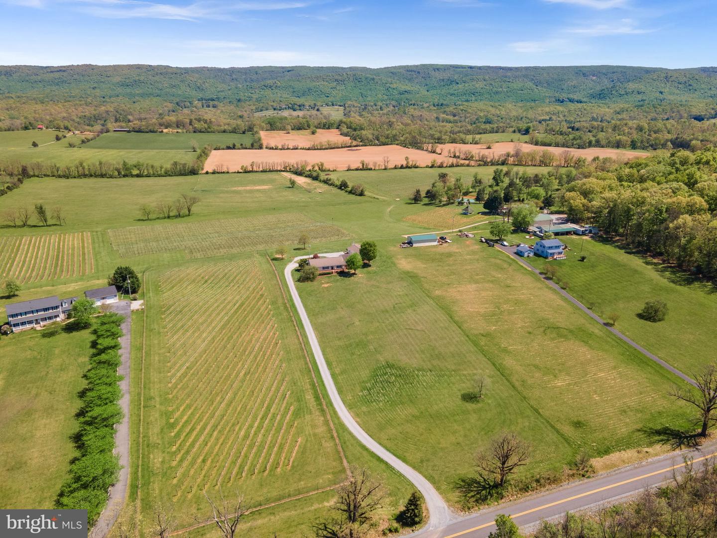 739 QUARRY RD, BERRYVILLE, Virginia 22611, 4 Bedrooms Bedrooms, ,3 BathroomsBathrooms,Residential,For sale,739 QUARRY RD,VACL2003606 MLS # VACL2003606