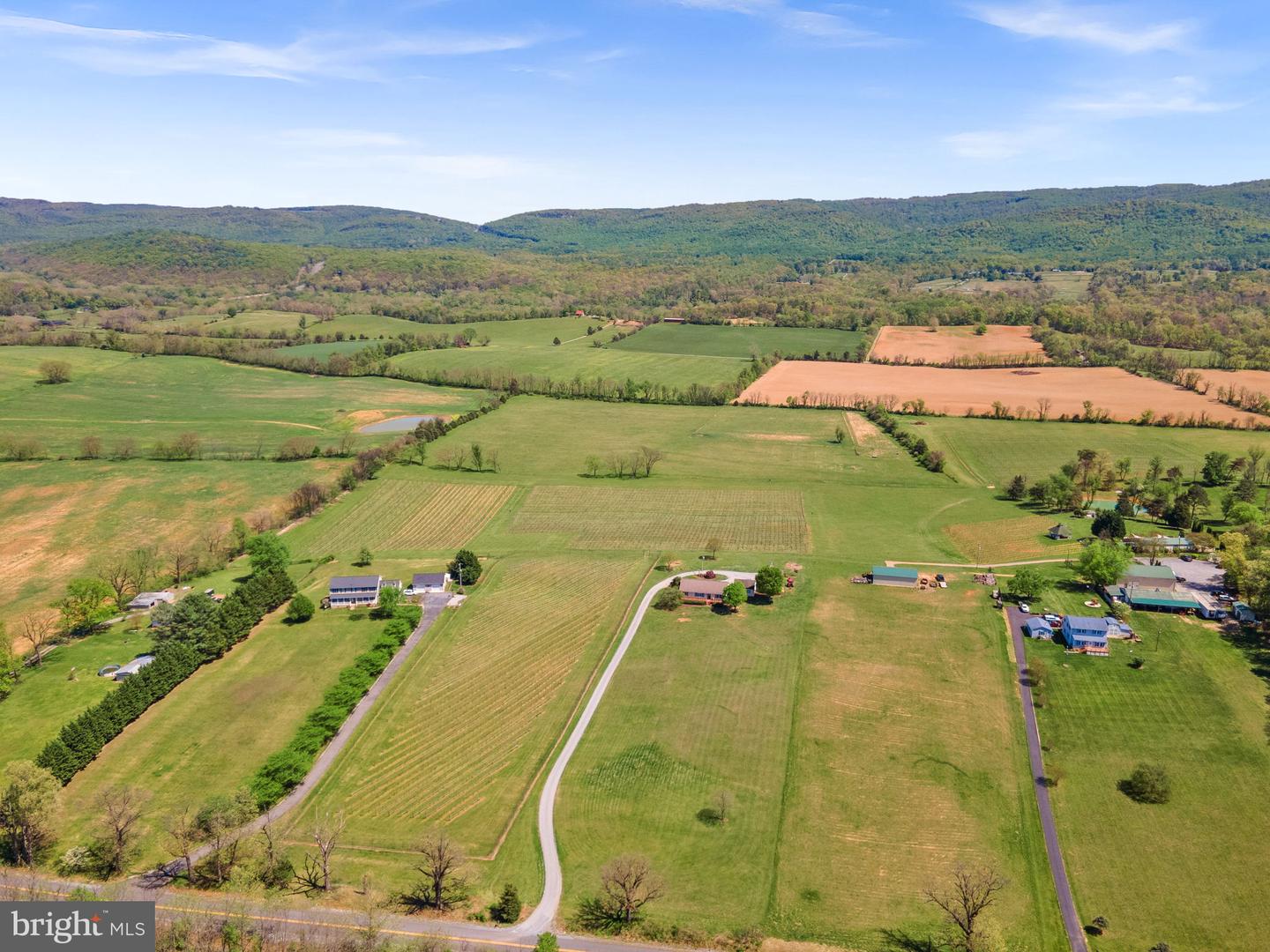 739 QUARRY RD, BERRYVILLE, Virginia 22611, 4 Bedrooms Bedrooms, ,3 BathroomsBathrooms,Residential,For sale,739 QUARRY RD,VACL2003606 MLS # VACL2003606