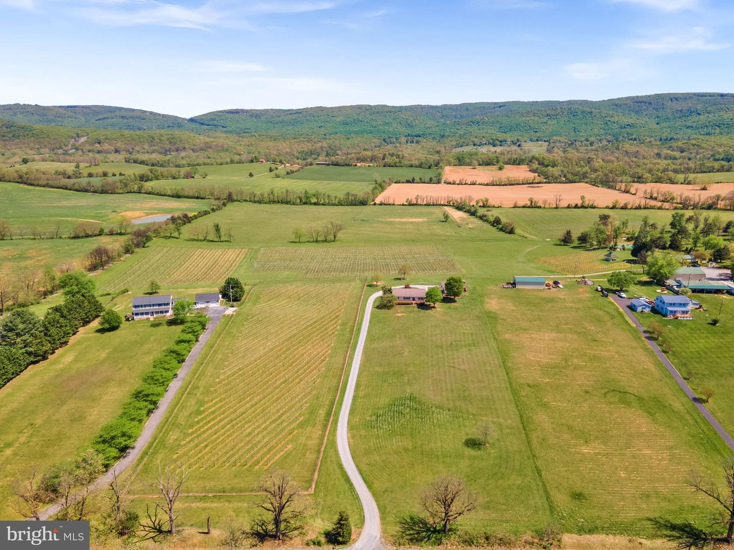 739 QUARRY RD, BERRYVILLE, Virginia 22611, 4 Bedrooms Bedrooms, ,3 BathroomsBathrooms,Residential,For sale,739 QUARRY RD,VACL2003606 MLS # VACL2003606