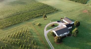 739 QUARRY RD, BERRYVILLE, Virginia 22611, 4 Bedrooms Bedrooms, ,3 BathroomsBathrooms,Residential,For sale,739 QUARRY RD,VACL2003606 MLS # VACL2003606
