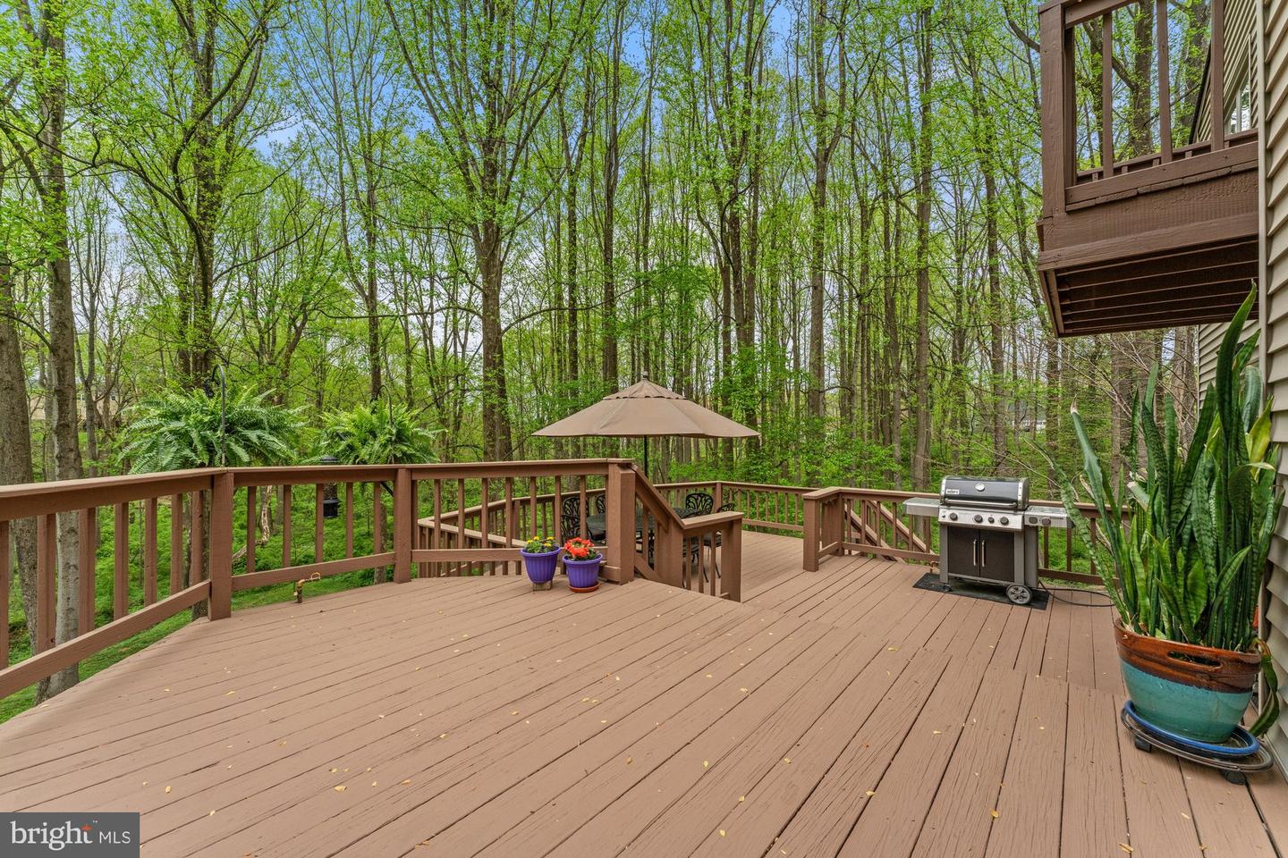 1806 ABBEY GLEN CT, VIENNA, Virginia 22182, 5 Bedrooms Bedrooms, ,4 BathroomsBathrooms,Residential,For sale,1806 ABBEY GLEN CT,VAFX2234658 MLS # VAFX2234658
