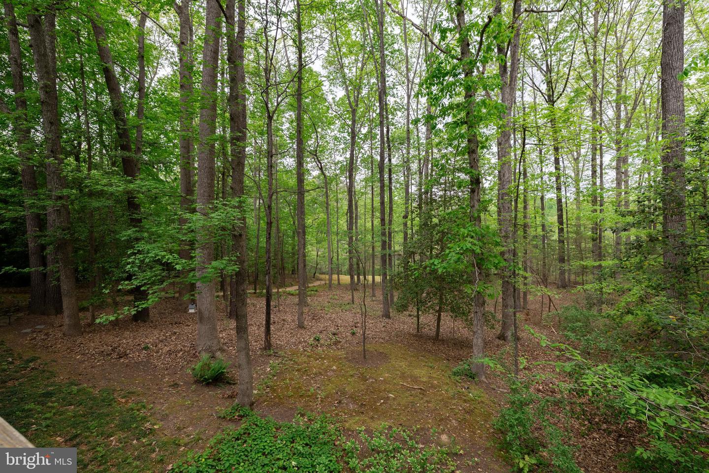 328 PERROW LN, MANAKIN SABOT, Virginia 23103, 4 Bedrooms Bedrooms, 11 Rooms Rooms,3 BathroomsBathrooms,Residential,For sale,328 PERROW LN,VAGO2000366 MLS # VAGO2000366