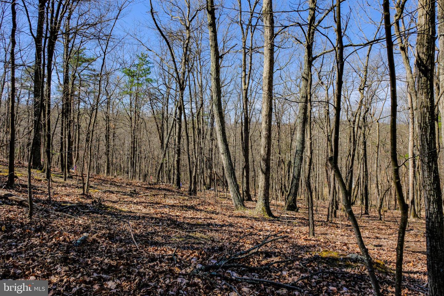 LOT 41A MARKHAM FARM RD, FRONT ROYAL, Virginia 22630, 3 Bedrooms Bedrooms, ,2 BathroomsBathrooms,Residential,For sale,LOT 41A MARKHAM FARM RD,VAWR2010964 MLS # VAWR2010964