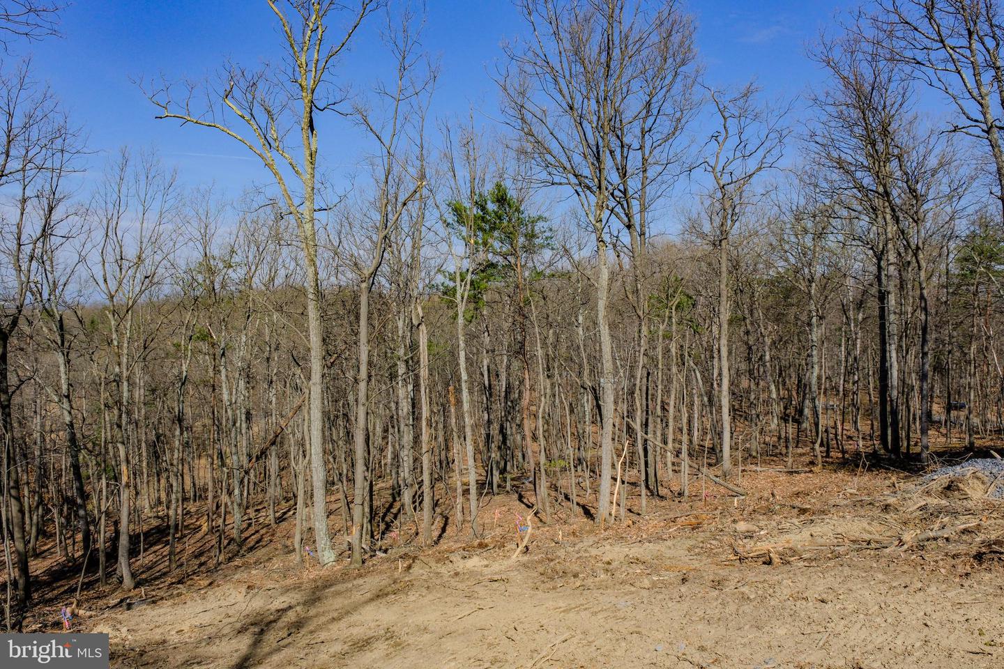 LOT 41A MARKHAM FARM RD, FRONT ROYAL, Virginia 22630, 3 Bedrooms Bedrooms, ,2 BathroomsBathrooms,Residential,For sale,LOT 41A MARKHAM FARM RD,VAWR2010964 MLS # VAWR2010964