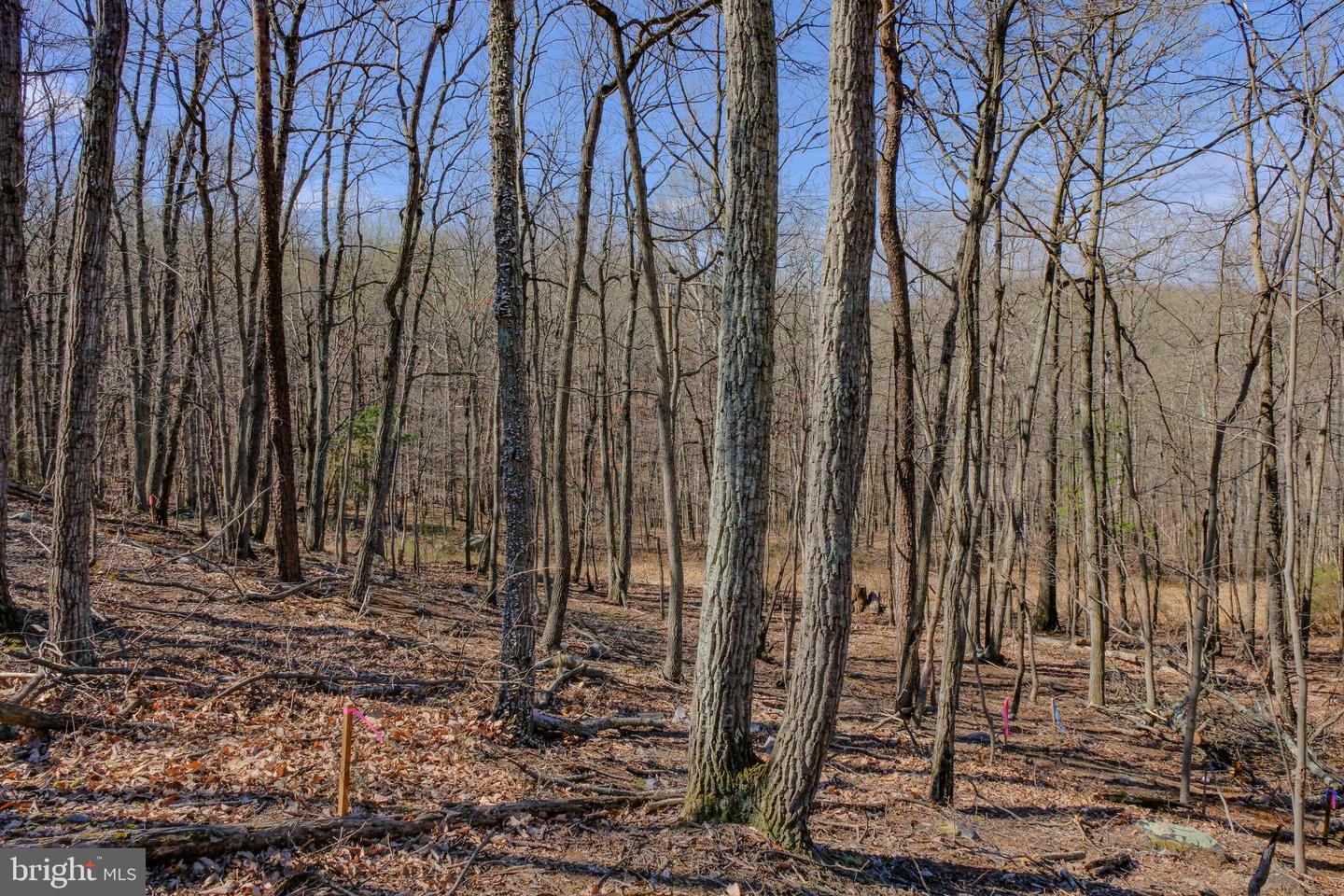 LOT 41A MARKHAM FARM RD, FRONT ROYAL, Virginia 22630, 3 Bedrooms Bedrooms, ,2 BathroomsBathrooms,Residential,For sale,LOT 41A MARKHAM FARM RD,VAWR2010964 MLS # VAWR2010964
