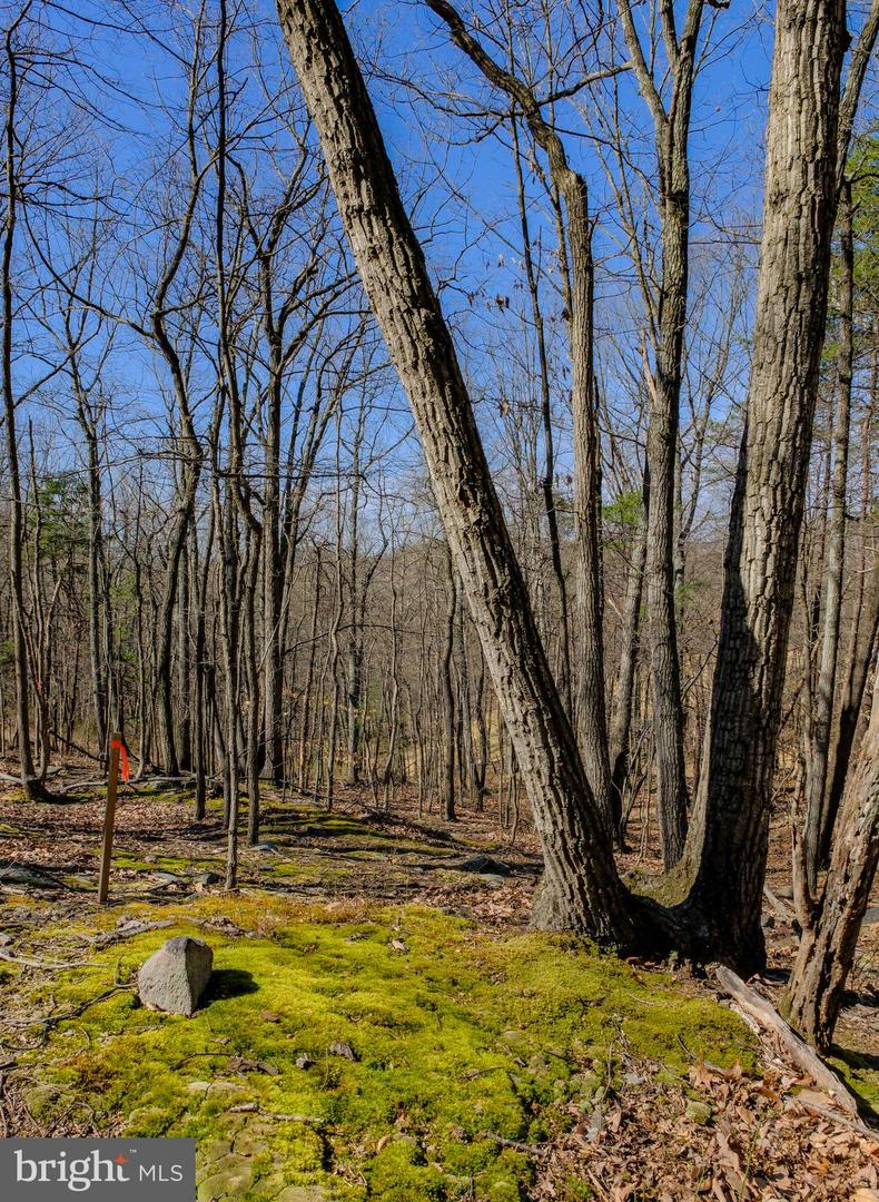 LOT 41A MARKHAM FARM RD, FRONT ROYAL, Virginia 22630, 3 Bedrooms Bedrooms, ,2 BathroomsBathrooms,Residential,For sale,LOT 41A MARKHAM FARM RD,VAWR2010964 MLS # VAWR2010964