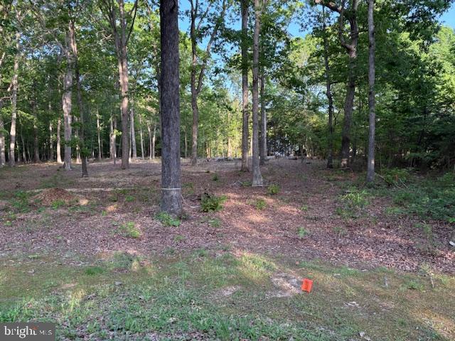 184 ANNA COVES COURT, MINERAL, Virginia 23117, ,Land,For sale,184 ANNA COVES COURT,VALA2007794 MLS # VALA2007794