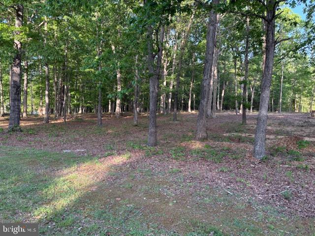 184 ANNA COVES COURT, MINERAL, Virginia 23117, ,Land,For sale,184 ANNA COVES COURT,VALA2007794 MLS # VALA2007794
