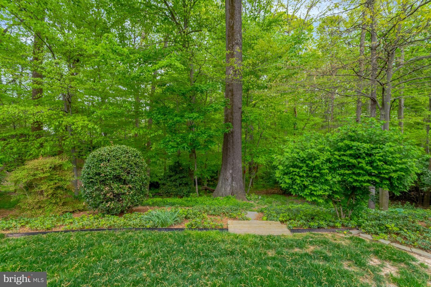 7716 CARRLEIGH PKWY, SPRINGFIELD, Virginia 22152, 6 Bedrooms Bedrooms, ,3 BathroomsBathrooms,Residential,For sale,7716 CARRLEIGH PKWY,VAFX2236430 MLS # VAFX2236430