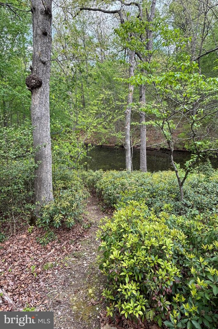 10611 ALLENWOOD LN, GREAT FALLS, Virginia 22066, 6 Bedrooms Bedrooms, ,4 BathroomsBathrooms,Residential,For sale,10611 ALLENWOOD LN,VAFX2236462 MLS # VAFX2236462