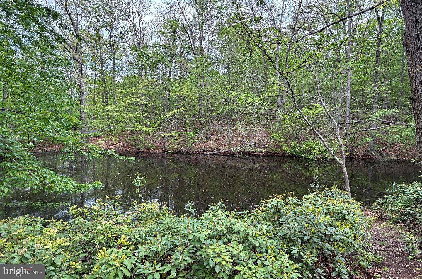 10611 ALLENWOOD LN, GREAT FALLS, Virginia 22066, 6 Bedrooms Bedrooms, ,4 BathroomsBathrooms,Residential,For sale,10611 ALLENWOOD LN,VAFX2236462 MLS # VAFX2236462