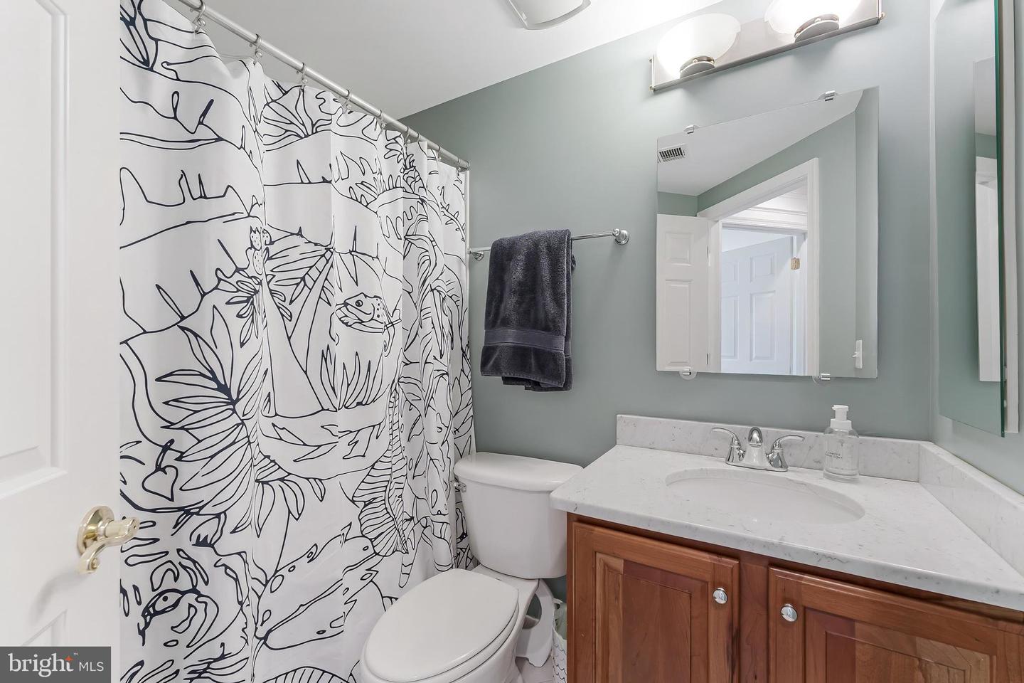 905 BERNARD ST, ALEXANDRIA, Virginia 22314, 3 Bedrooms Bedrooms, ,3 BathroomsBathrooms,Residential,For sale,905 BERNARD ST,VAAX2044746 MLS # VAAX2044746