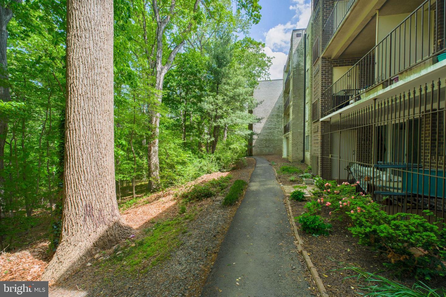 5065 7TH RD S #202, ARLINGTON, Virginia 22204, 3 Bedrooms Bedrooms, ,2 BathroomsBathrooms,Residential,For sale,5065 7TH RD S #202,VAAR2056884 MLS # VAAR2056884